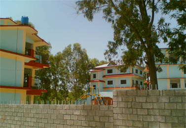 2006